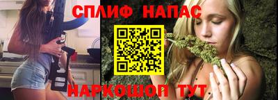 амф Бийск