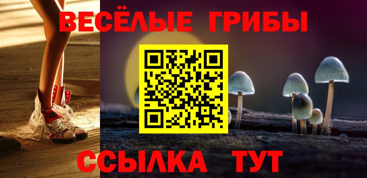 Псилоцибиновые грибы мицелий Карачаевск